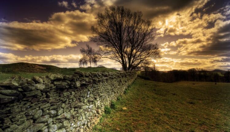 تصویر زمینه سری سیزدهم