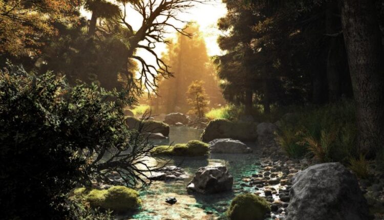 تصویر زمینه جنگل