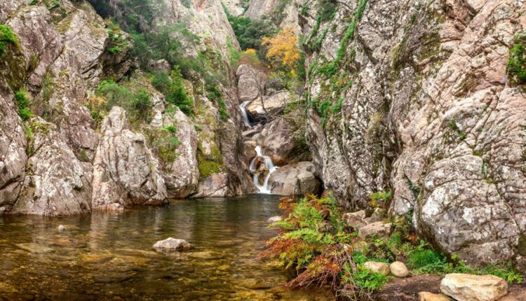 تصویر زمینه کوه