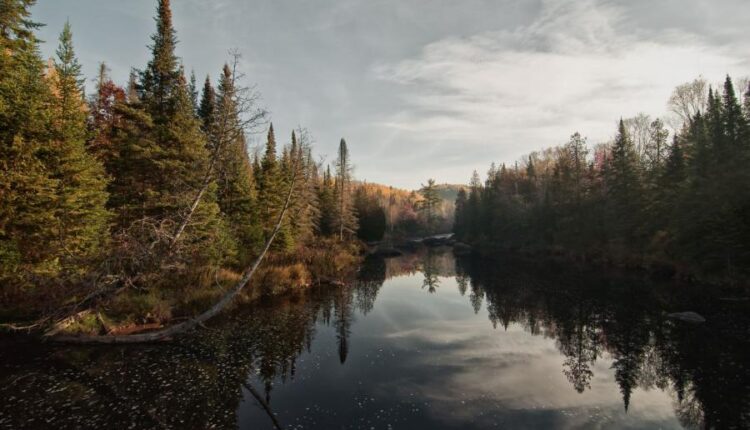 تصویر زمینه زیبا