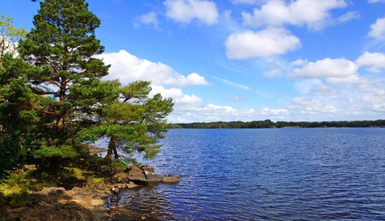 تصویر زمینه دریا