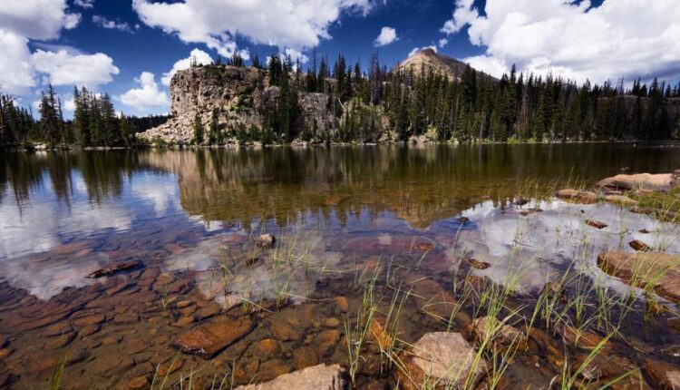 والپیپر موبایل