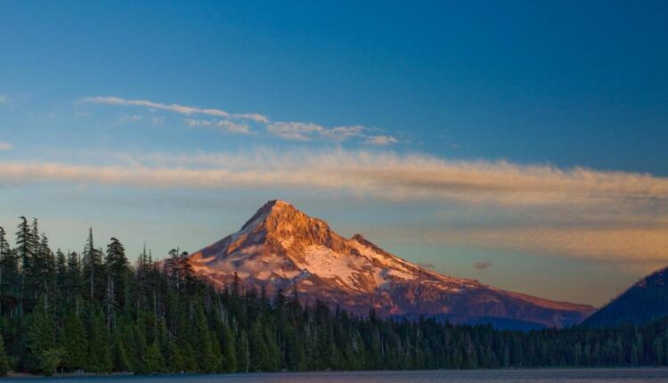 والپیپر زیبا برای موبایل