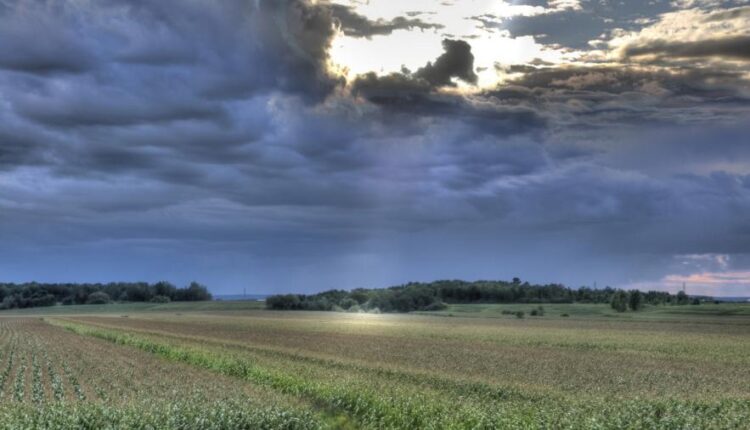 تصویر زمینه سری سیزدهم
