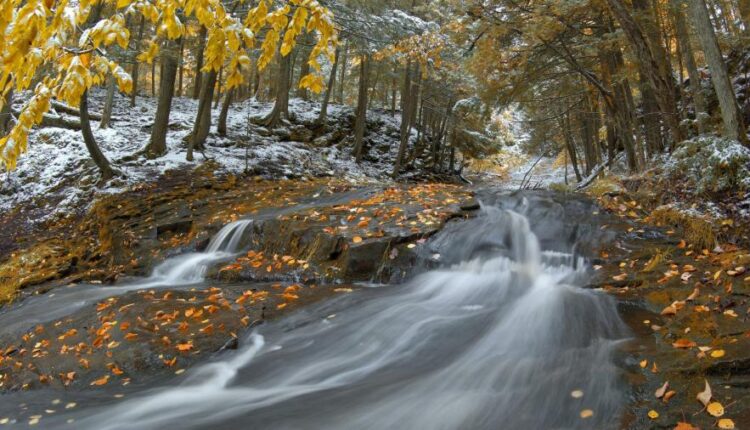تصویر زمینه رود خانه