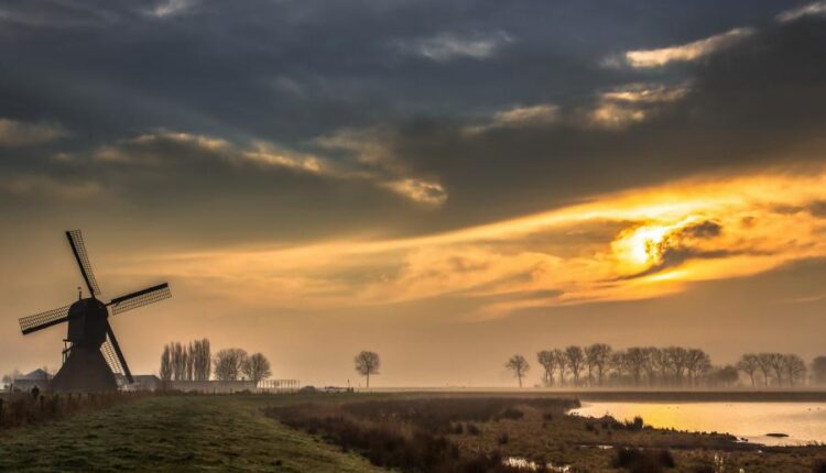 بک گراند طبیعت