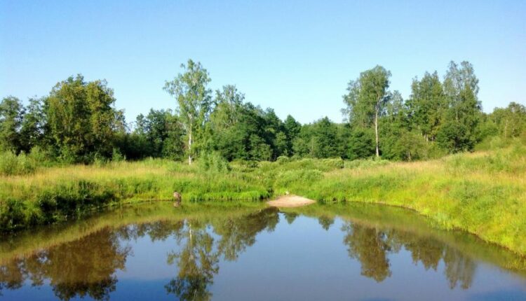 بک گراند طبیعت