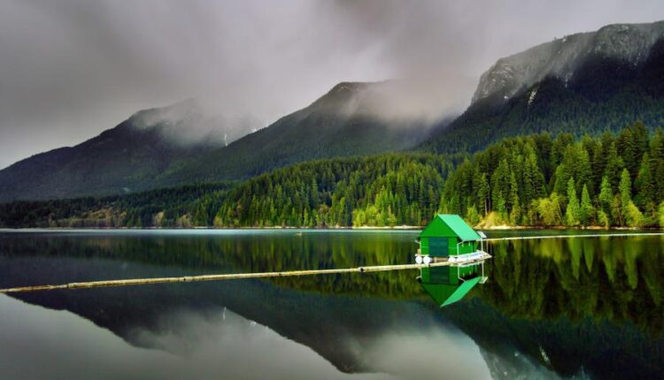 والپپپر طبیعت