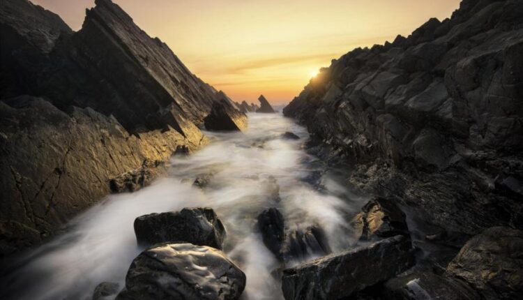 والپپپر طبیعت