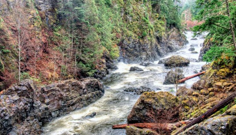 والپپپر طبیعت