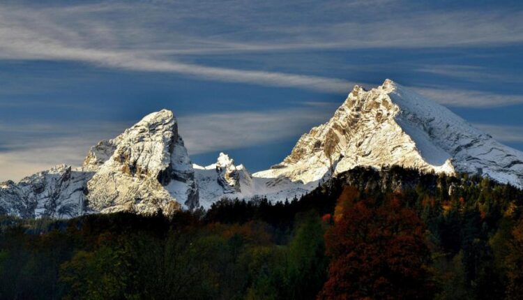 والپپپر طبیعت