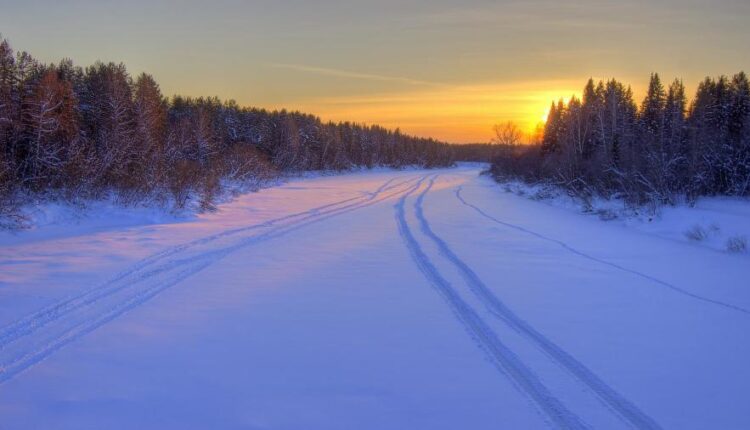 والپپپر طبیعت