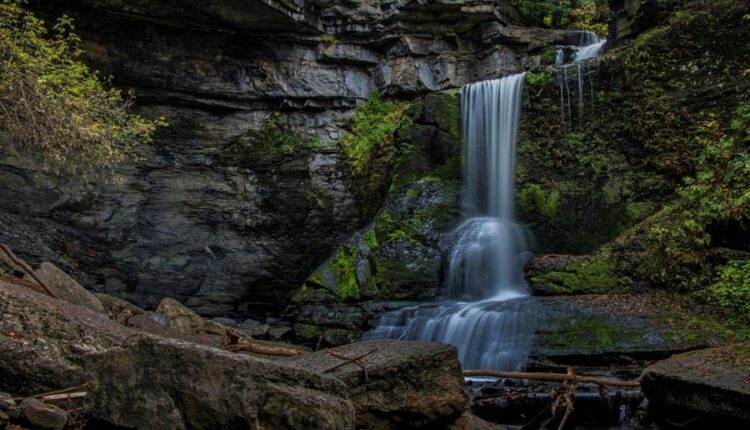 والپپپر طبیعت