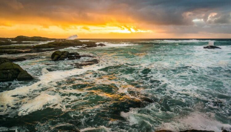 تصویر زمینه طبیعت