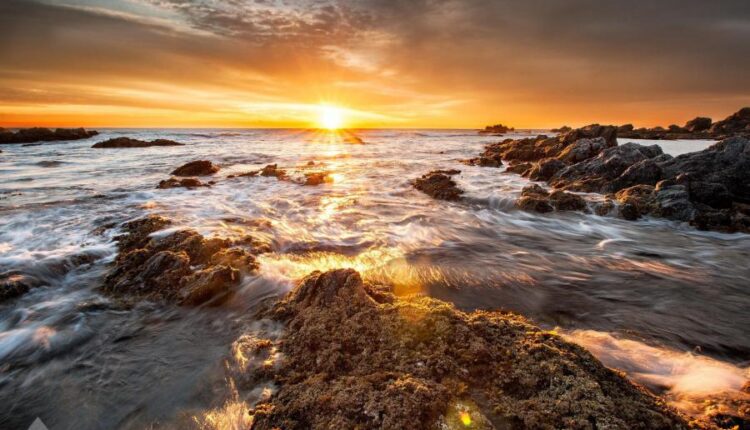 تصویر زمینه طبیعت