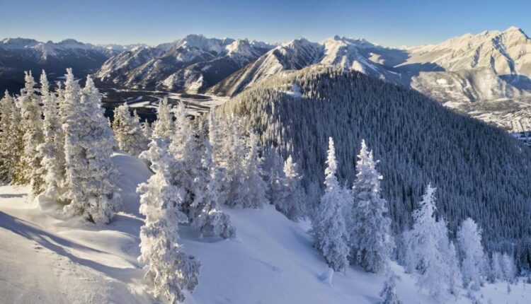 تصویر زمینه طبیعت