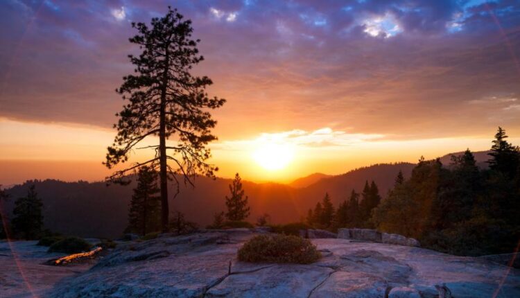 تصویر زمینه طبیعت