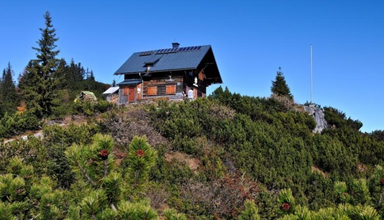 تصویر زمینه طبیعت