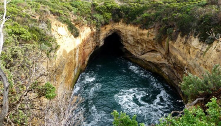 بک گراند طبیعت