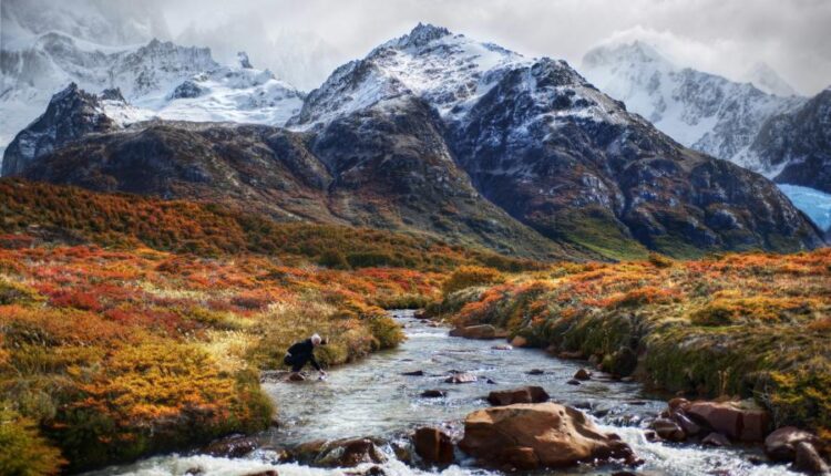 تصویر زمینه طبیعت