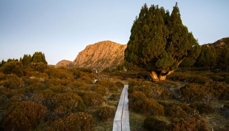 تصویر زمینه طبیعت