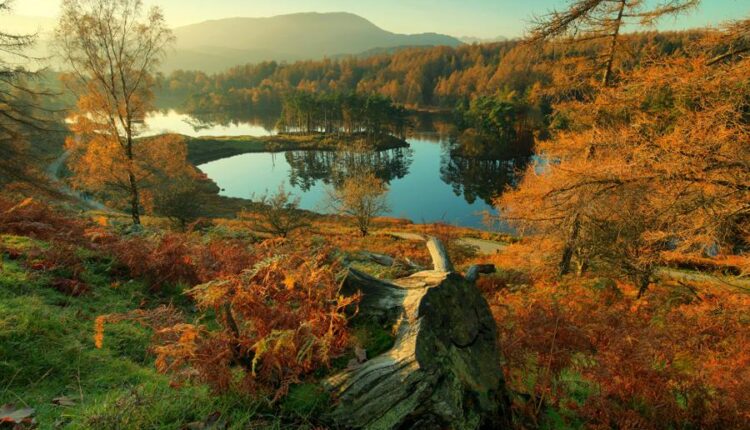 پس زمینه طبیعت