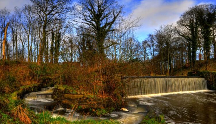 پس زمینه طبیعت