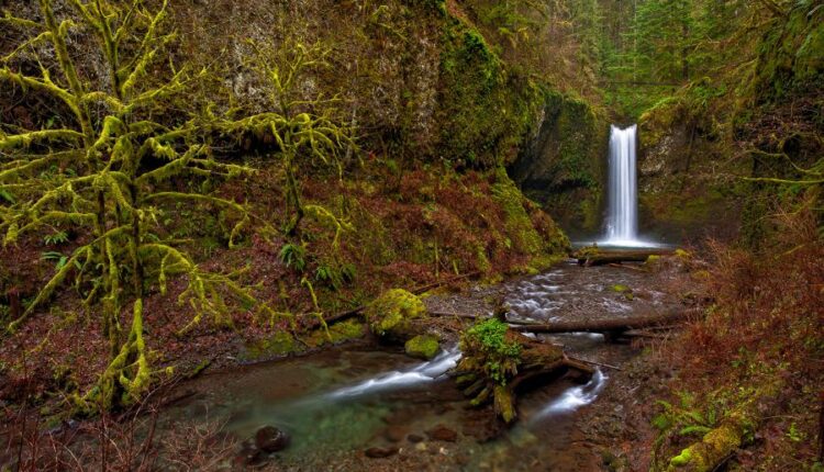 سری بیست و چهارم تصویر زمینه های طبیعت   Nature Wallpapers