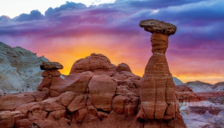 پس زمینه طبیعت