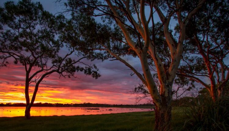 بک گراند طبیعت