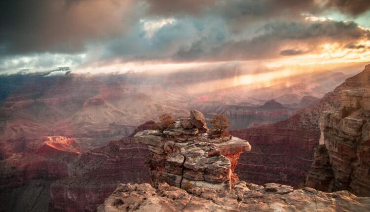 بک گراند طبیعت