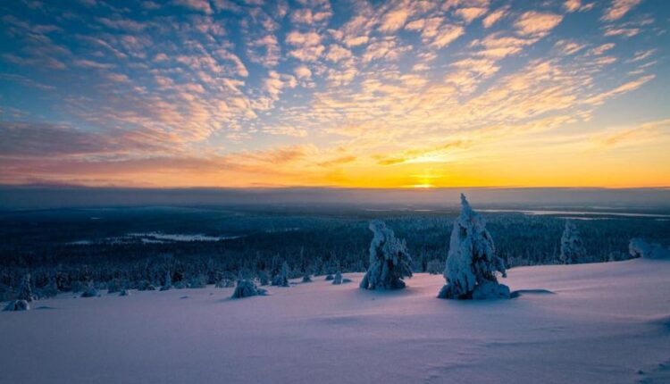 بک گراند طبیعت