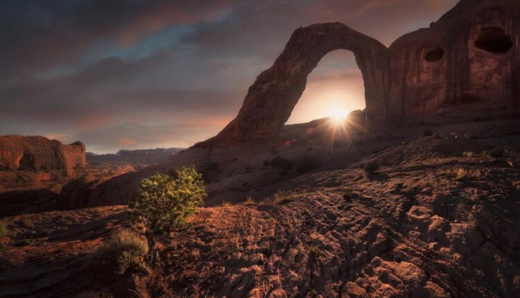 سری چهاردهم والپیپر های متنوع با کیفیت   Beautiful Wallpapers