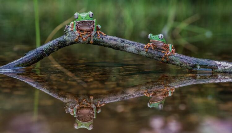 سری چهاردهم والپیپر های متنوع با کیفیت   Beautiful Wallpapers