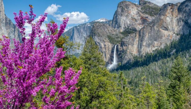 سری چهاردهم والپیپر های متنوع با کیفیت   Beautiful Wallpapers