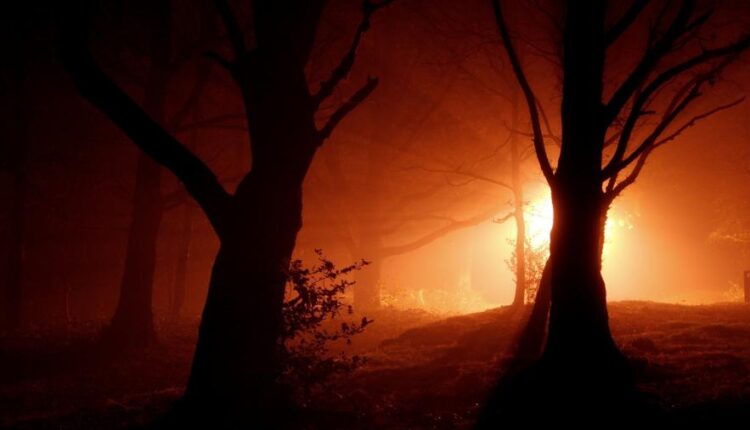 سری چهاردهم والپیپر های متنوع با کیفیت   Beautiful Wallpapers