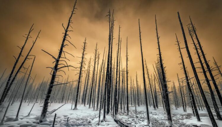 سری چهاردهم والپیپر های متنوع با کیفیت   Beautiful Wallpapers