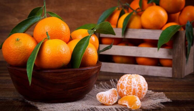 سری چهاردهم والپیپر های متنوع با کیفیت   Beautiful Wallpapers