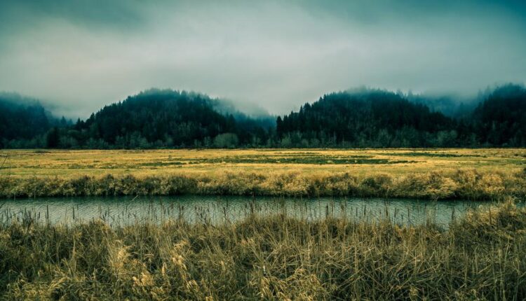 سری چهاردهم والپیپر های متنوع با کیفیت   Beautiful Wallpapers