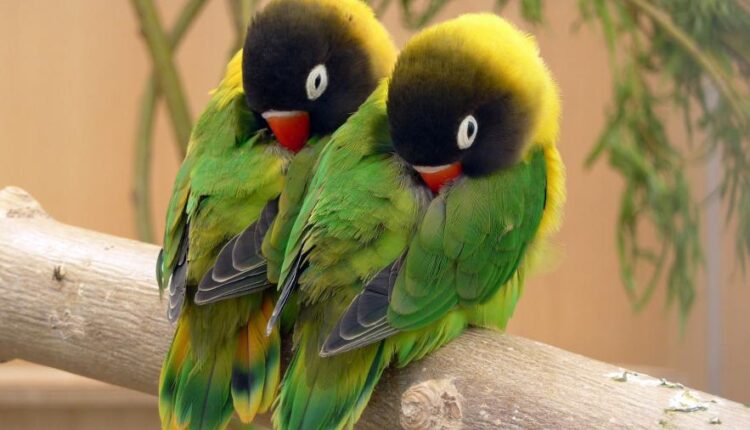 سری چهاردهم والپیپر های متنوع با کیفیت   Beautiful Wallpapers