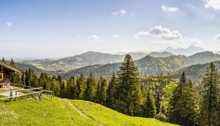 سری چهاردهم والپیپر های متنوع با کیفیت   Beautiful Wallpapers