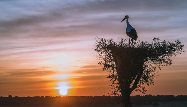 سری چهاردهم والپیپر های متنوع با کیفیت   Beautiful Wallpapers