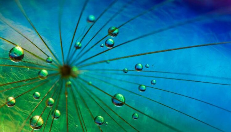 سری چهاردهم والپیپر های متنوع با کیفیت   Beautiful Wallpapers