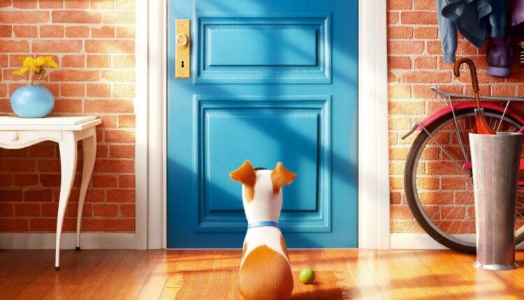 سری چهاردهم والپیپر های متنوع با کیفیت   Beautiful Wallpapers