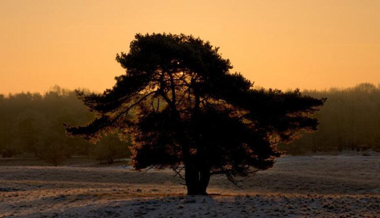 تصویر زمینه تاریک