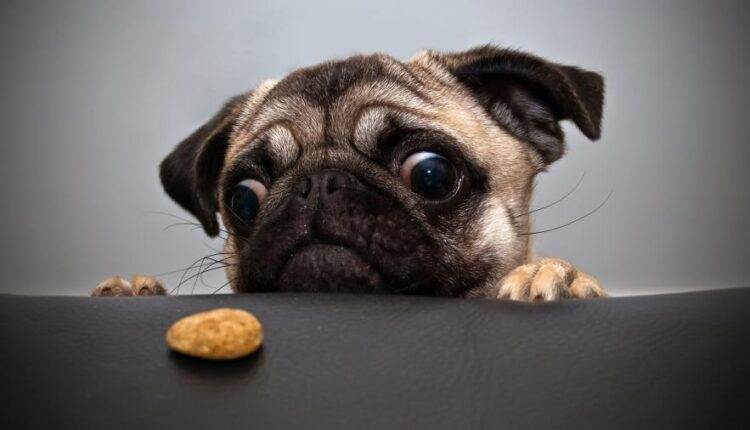 تصویر زمینه بامزه