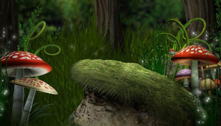 تصویر زمینه با کیفیت