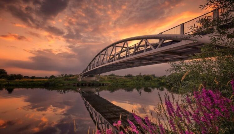 عکس زمینه زیبا