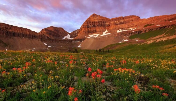 عکس زمینه با کیفیت