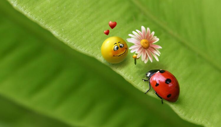 تصویر زمینه عشق